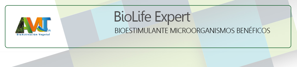 BiolifeExpert - ok