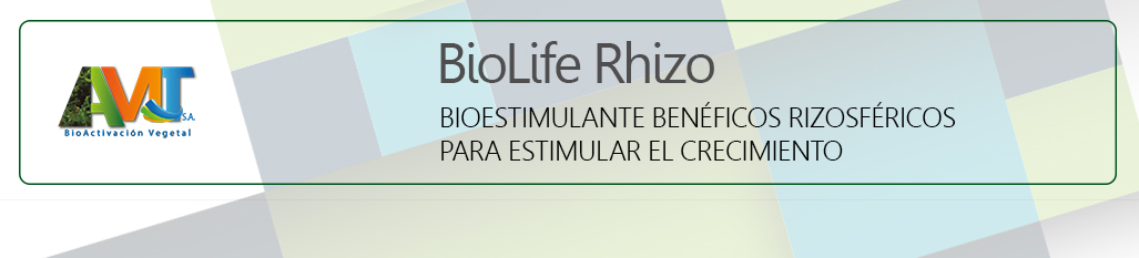 BiolifeRhizo - ok